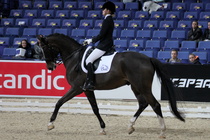 Anniliina Mikkonen ja Favorit II (HIHS 2013)