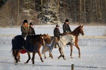 2.12.2012 aluekisojen verkkaa Raijan tallilla