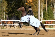 Anna ja Ministi aluemestaruuskisojen palkintojenjaossa Mikkelissä