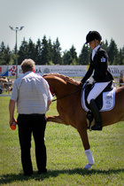 Anna tassu!